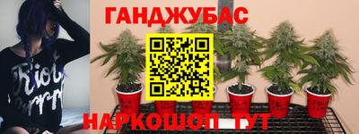 твердый Краснодар